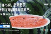 娱乐吃瓜文案图片大全,吃瓜群众必备的图文盛宴